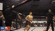 Lets Go Fighting GIF by New Line Cagefighting