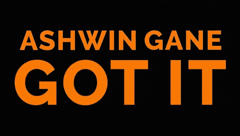 Black Friday Turkey GIF by Ashwin Gane