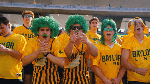Baylor Bears Sic Em GIF by Baylor Athletics