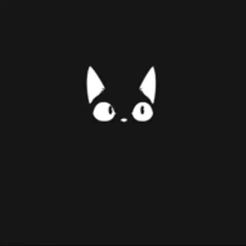 animation cat GIF by The Videobook