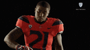 Arizona Wildcats Football GIF by Pac-12 Network