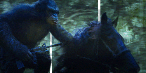 planet of the apes horse GIF
