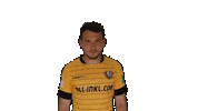Goal Celebrate Sticker by SG Dynamo Dresden