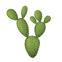 Flower Plants Sticker by Envie de salle de bain