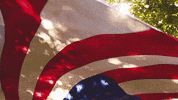 american outlaws GIF by U.S. Soccer Federation