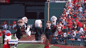 120 GIF by MLB