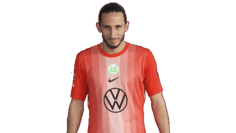 Three Points Win Sticker by VfL Wolfsburg