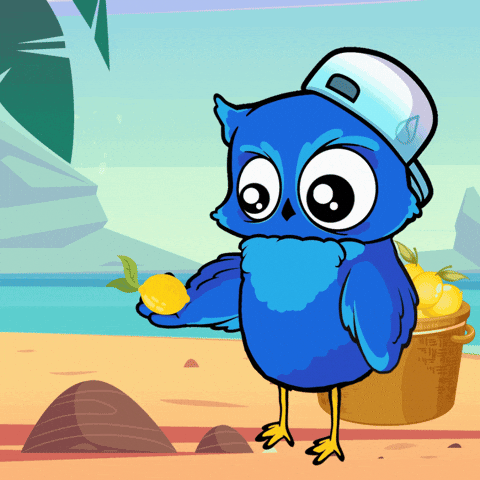 Crypto Owl GIF by BigBrains