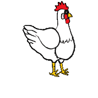 Chickens Sticker