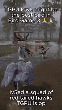 Bird Ai GIF
