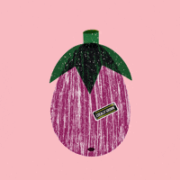 lea_fiszer market vegetable eggplant produce GIF