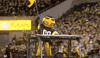 Iowa Hawkeyes Football GIF by University of Iowa Hawkeyes Athletics