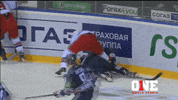 gagarin cup GIF by ONE World Sports