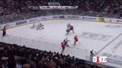 gagarin cup lev GIF by ONE World Sports