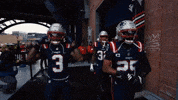 Football Nfl GIF by New England Patriots