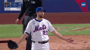 New York Mets Shrug GIF by MLB
