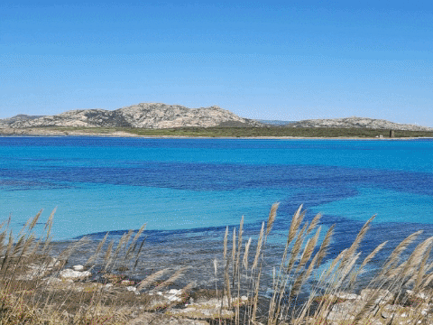 ri_rf giphygifmaker GIF