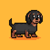 Dog Tongue GIF by Abstract HotDogs