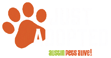 Cat Adopt Sticker by Merrick Pet Care