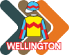 Wellington Sticker by DIA