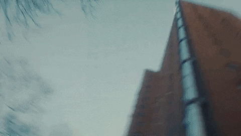 pedro_enaya giphygifmaker giphystrobetesting GIF