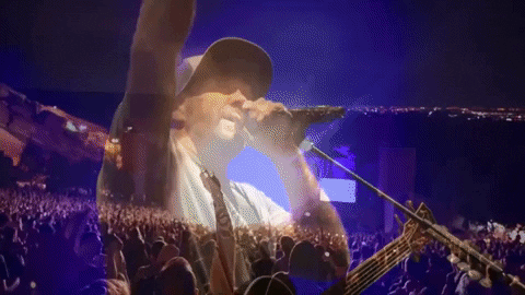 Concert GIF by Slightly Stoopid