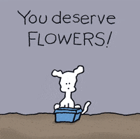 Flowers Love GIF by Chippy the Dog