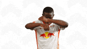 Oh Yeah Dancing GIF by RB Leipzig