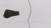 Slime Venom GIF by Mashable