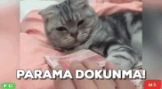 GIF by @Hizliresim