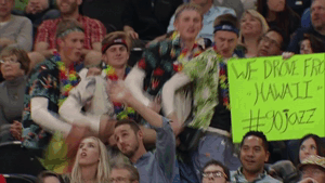 fan GIF by NBA