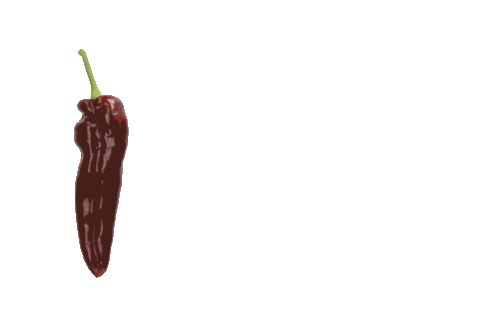 Vegetables Healthyfood Sticker by RijkZwaan