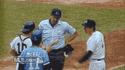 kc GIF by MLB