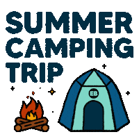 Camping Starry Night Sticker by Eddie Bauer