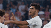 la liga real madrid 18/19 season GIF by Real Madrid