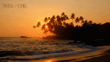 blind date beach GIF by Stellify Media