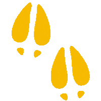 Tule Elk Ocean Sticker by Resource Renewal Institute