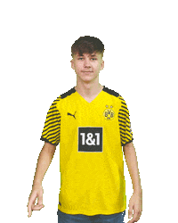 Bvb Sticker by Borussia Dortmund