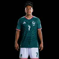 Fifa World Cup Mexico GIF by Respective