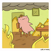Fire Work GIF