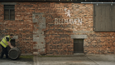 Lion Rampant Beer GIF by Belhaven Brewey