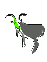 Rimsailluminazione capra rimsa cascina cascinasbianca Sticker