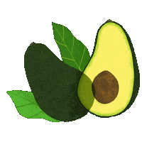 Avocado Vegetable Sticker by Erstwilder