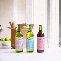 Vibes Friday GIF by Lo-Fi Aperitifs
