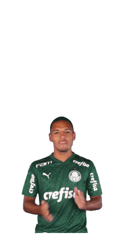 Happy Instagram Sticker by SE Palmeiras
