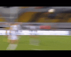 pro d2 essai GIF by Stade Montois Rugby