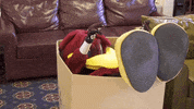 Mascot Sc GIF by University of South Carolina