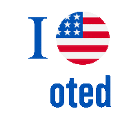 Election 2020 Vote Sticker
