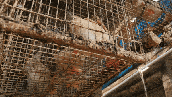 easttw giphyupload GIF