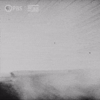 Hannah Arendt Train GIF by American Masters on PBS